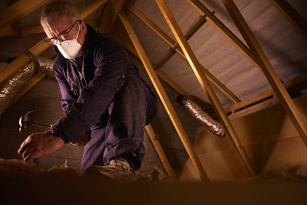 Types of Insulation We Offer in Bolinas, CA