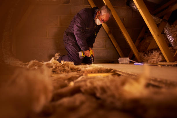 Best DIY Insulation Kits and Guidance in Bolinas, CA