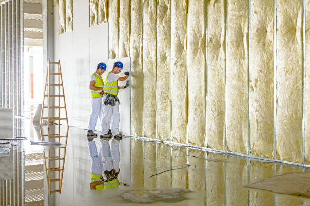 Types of Insulation We Offer in Bolinas, CA